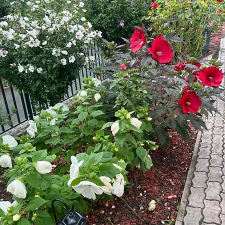 Aventurin House *** Révfülöp