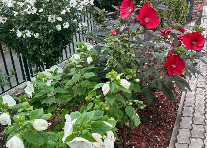 Aventurin House *** Ревфюлёп